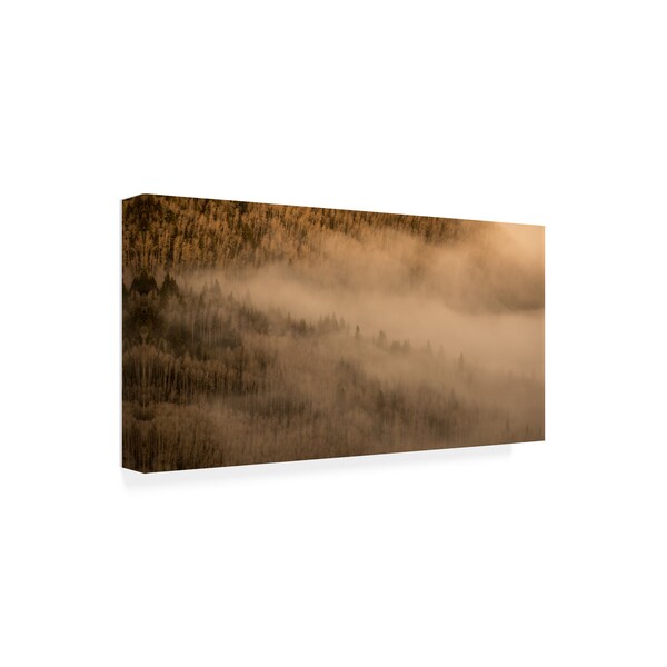 Dan Ballard 'Aerial Fog' Canvas Art,12x24